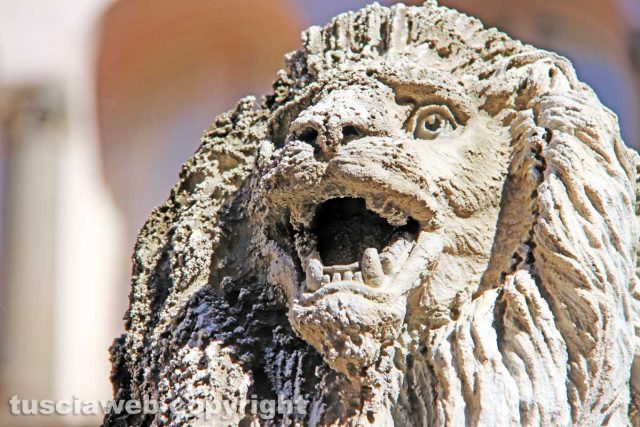 Viterbo – La fontana di piazza delle Erbe simbolo della decadenza della città