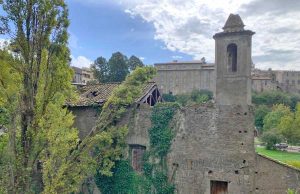 Viterbo - Albero crolla sulla chiesa di Santa Croce